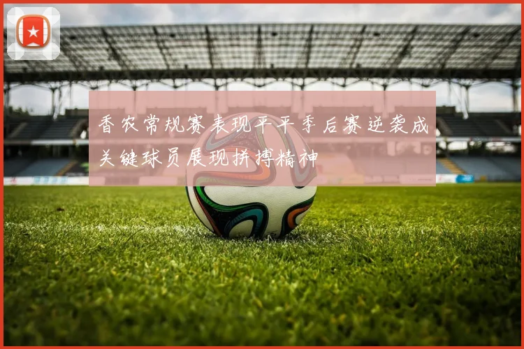 香农常规赛表现平平季后赛逆袭成关键球员展现拼搏精神