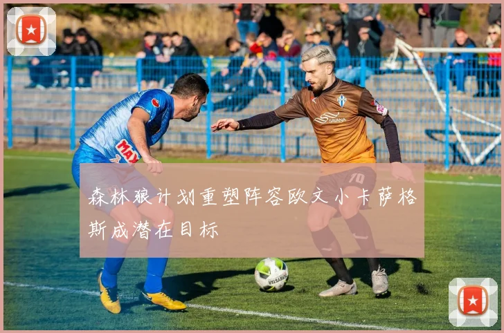 森林狼计划重塑阵容欧文小卡萨格斯成潜在目标