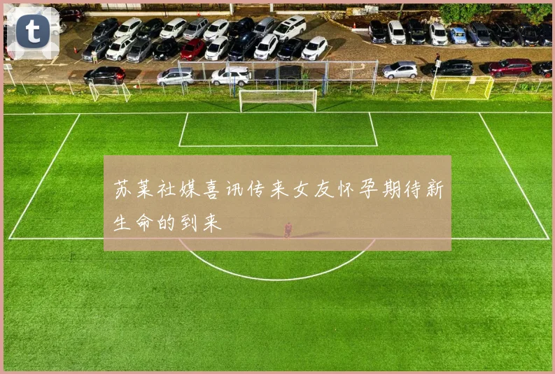 苏莱社媒喜讯传来女友怀孕期待新生命的到来