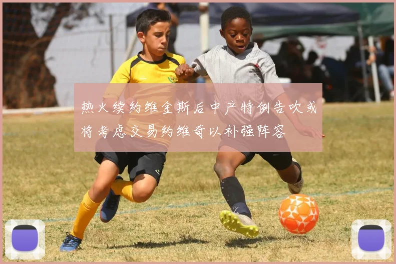 热火续约维金斯后中产特例告吹或将考虑交易约维奇以补强阵容